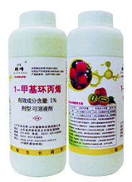 整庫(kù)熏蒸